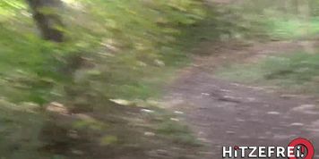 Dirty Bitch Fucked In Public