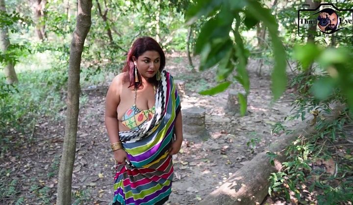 Big Boobs Bouncing Multi Color Saree - Bobita