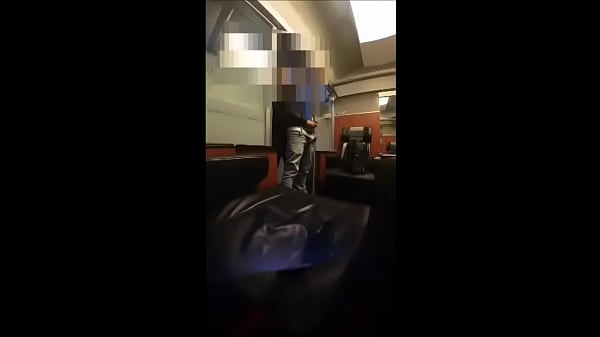 Public Sex - Train